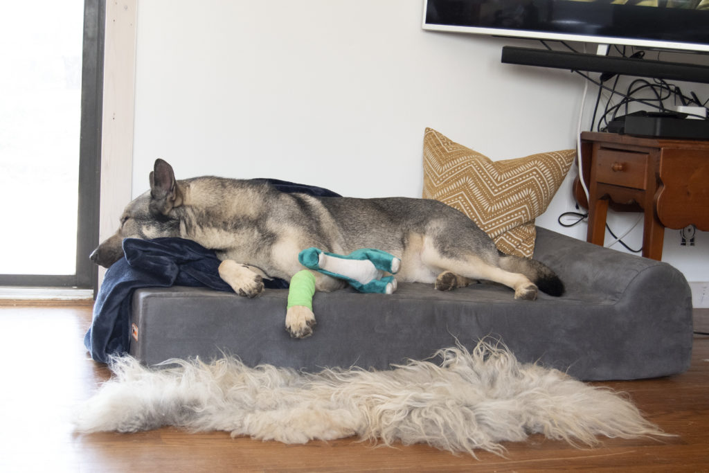 Big dogs have big dog needs, and that's more support. The Big Barker bed offers that in abundance