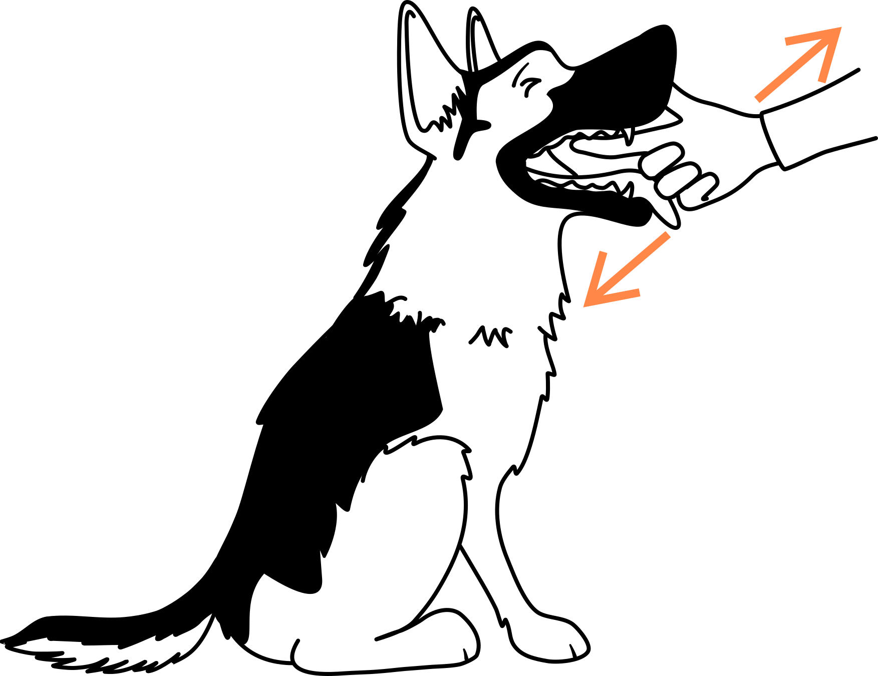 Open dogs mouth and sweep for foreign objects to save your dog from choking