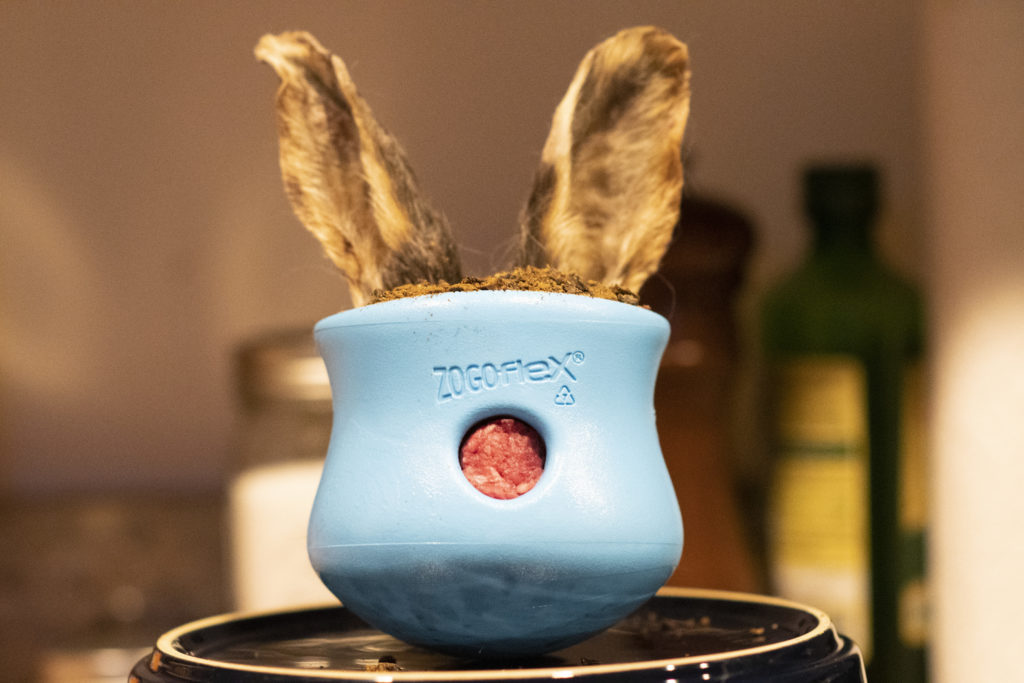 rabbit ears on a westpaw toppl dog enrichment