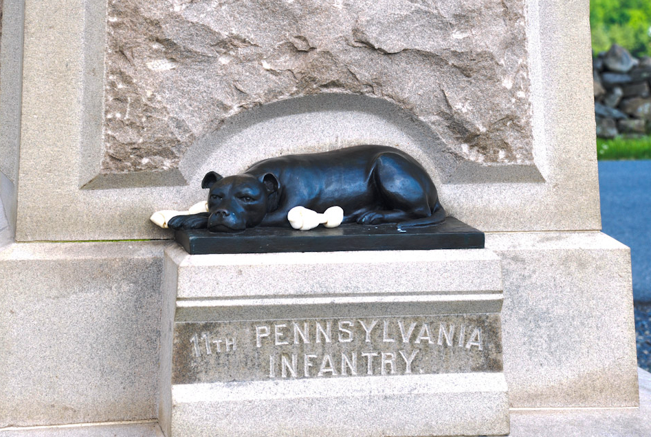 Sallie Ann Jarrett mascot of the 11th Pennsylvannia