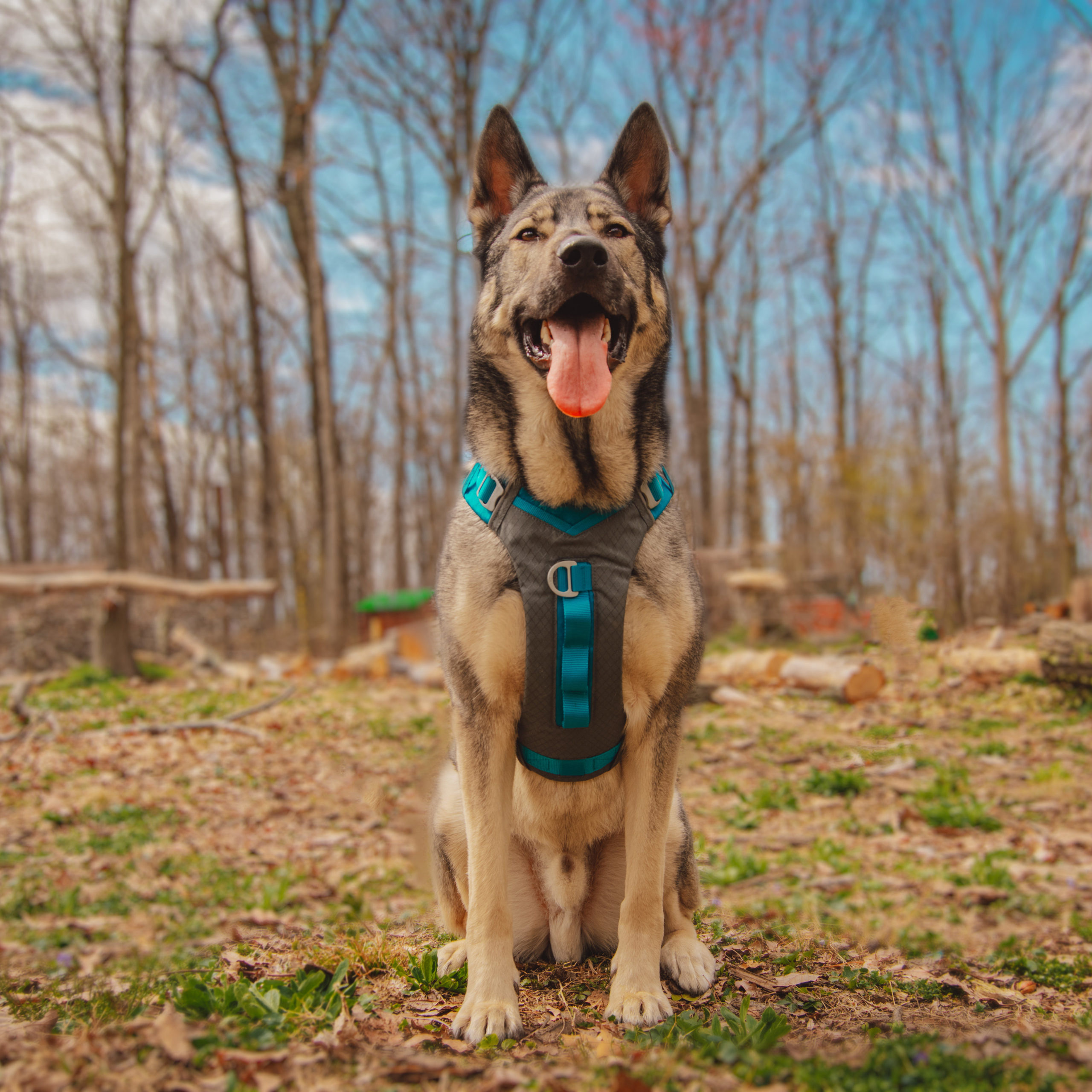 Kurgo Journey Air Harness