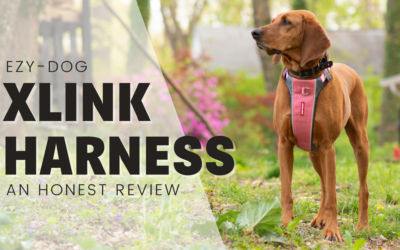 Ezy Dog X-Link Harness – An Honest Review