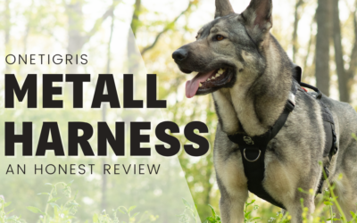 OneTigris Metall k9 Harness – An Honest Review