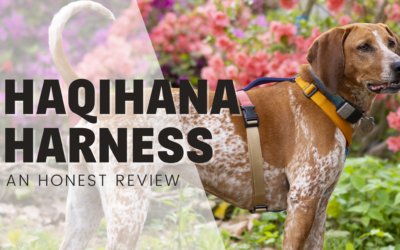 Haqihana Dog Harness – An Honest Review