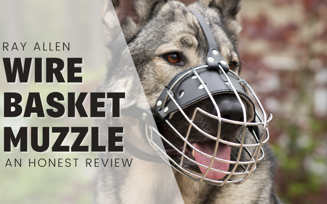 Ray Allen Wire Basket Dog Muzzle – An Honest Review