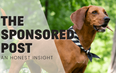Sponsored Blog Posts & Marketing In The Pet Industry
