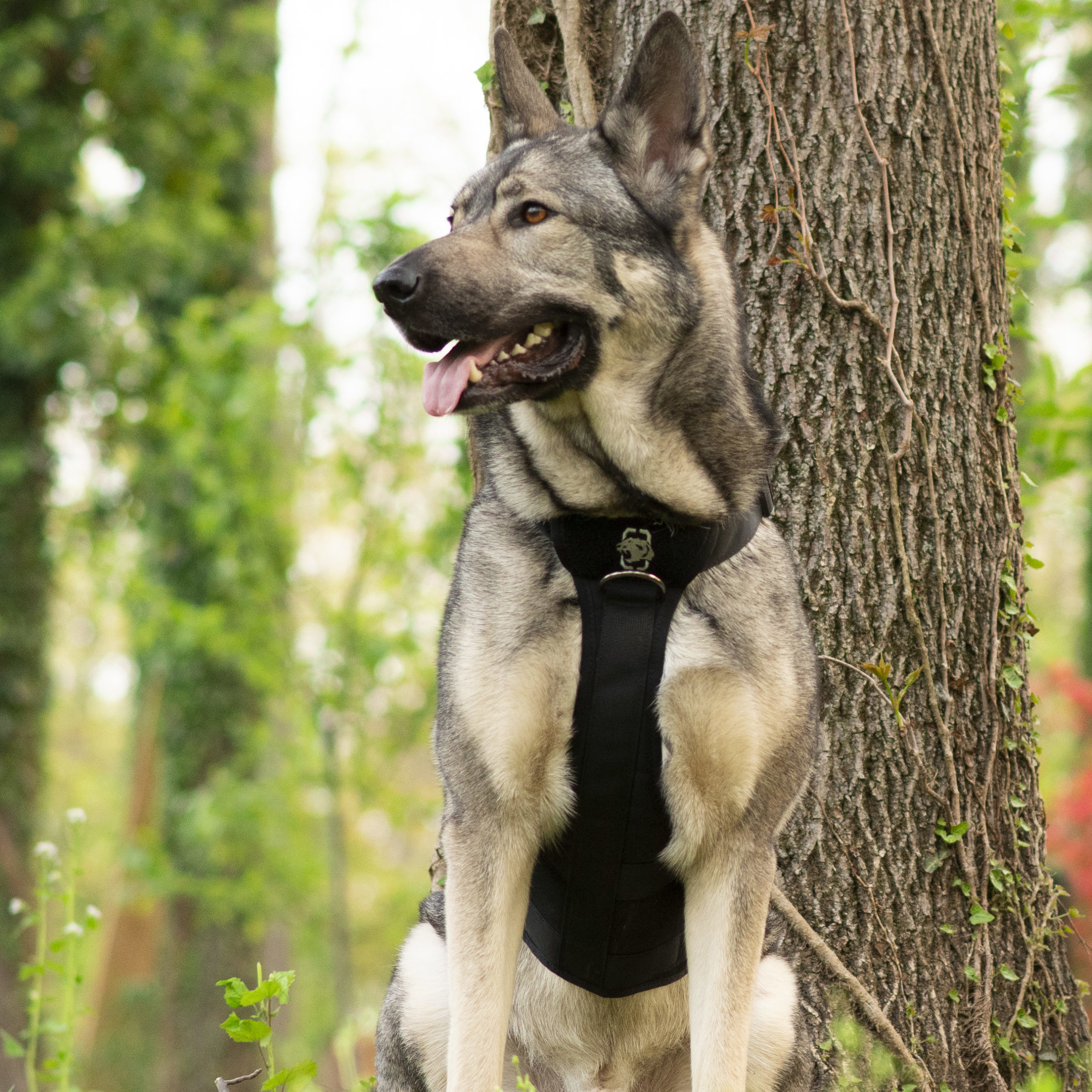 One Tigris Metall K9