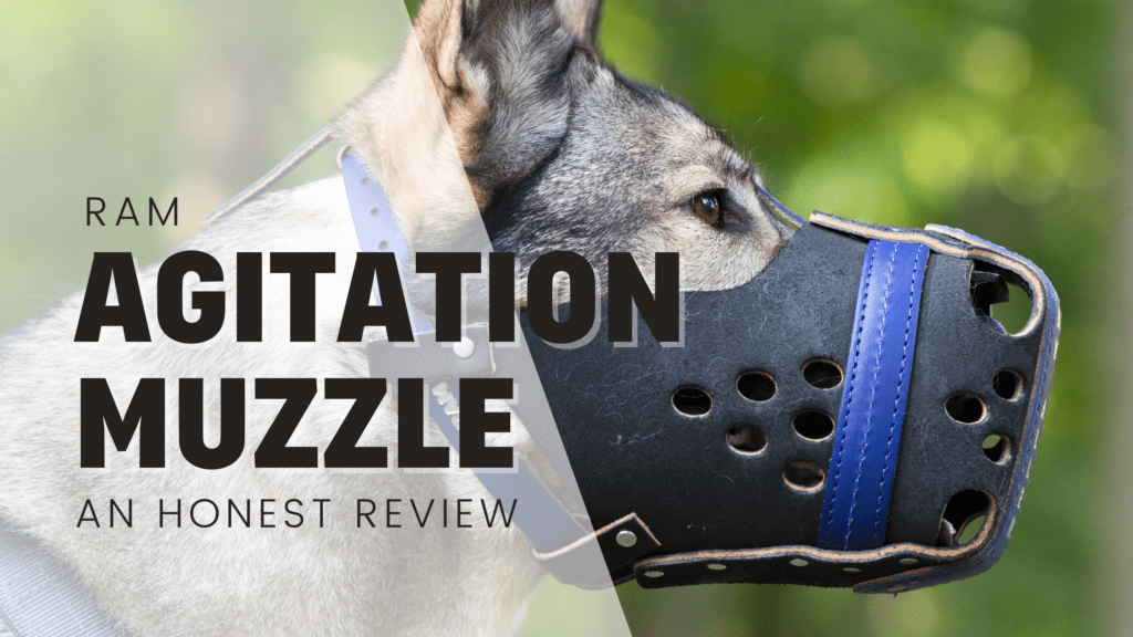 Ray Allen Manufacturing RAM Agitation Muzzle on Indie the German shepherd, reviewed by Rebarkable Ali Smith