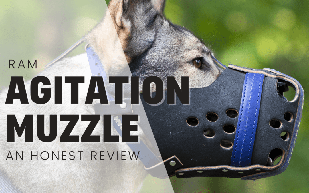 Ray Allen Agitation Muzzle – An Honest Review