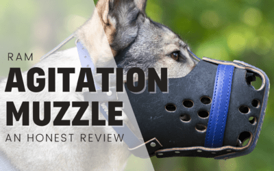 Ray Allen Agitation Muzzle – An Honest Review