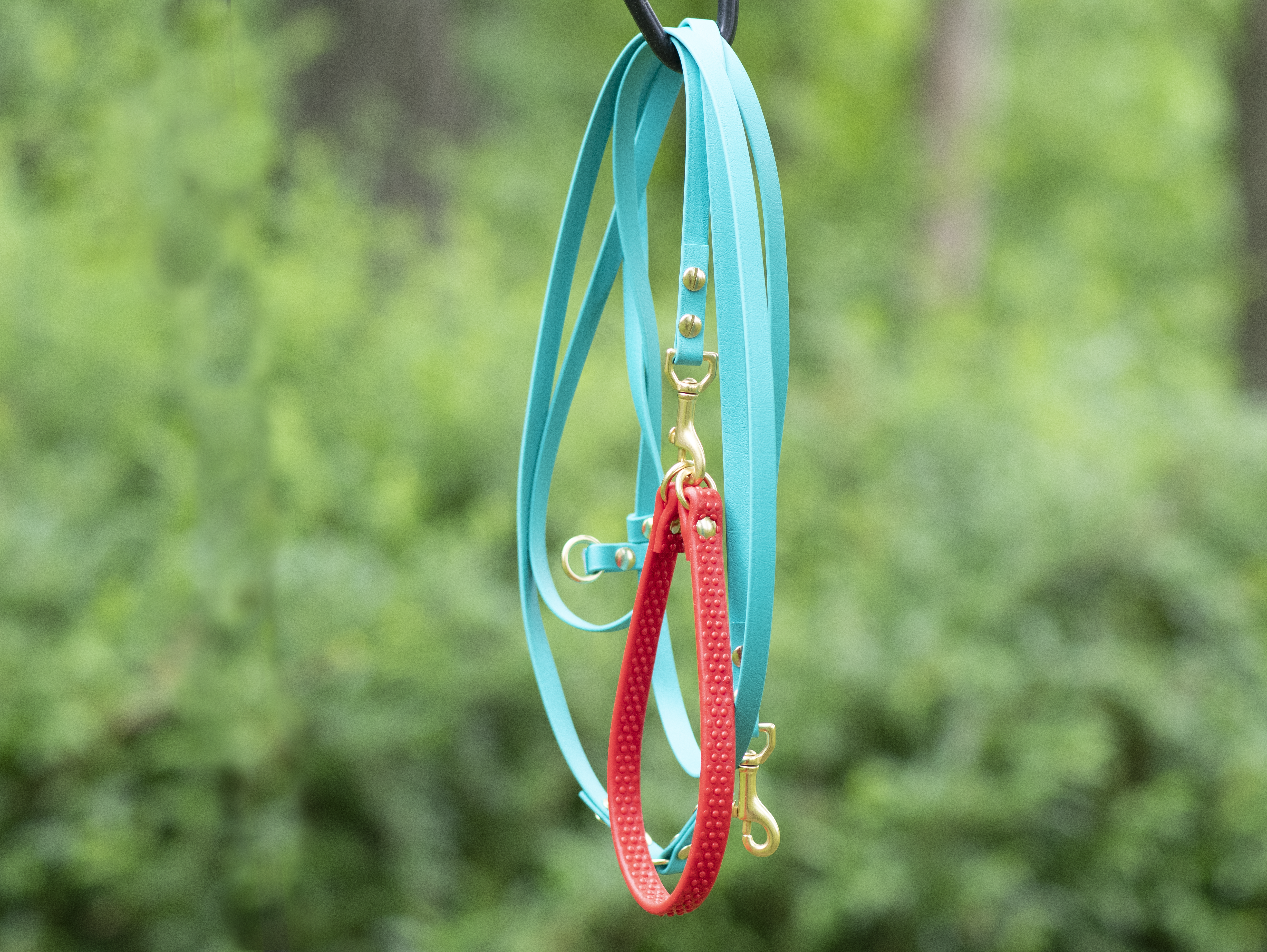 Trail Blazing Tails Biothane long line