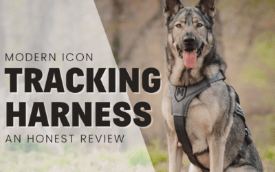 Modern Icon Tracking Dog Harness – An Honest Review
