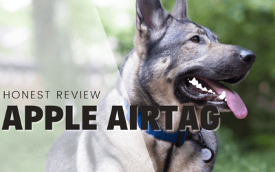 Apple AirTag As A Dog Tracker – An Honest Review