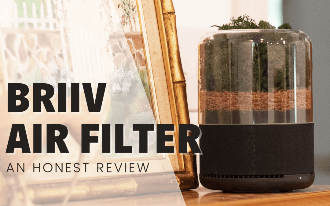 BRIIV Air Filter – A Dog Mom’s Honest Review