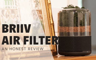 BRIIV Air Filter – A Dog Mom’s Honest Review