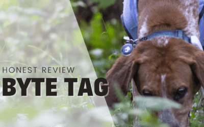 The Byte Tag – Smart ID Tag For Dogs – An Honest Review