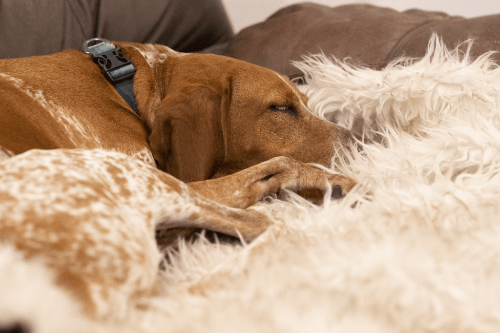snuggly pupprotector fluffy fuzzy blanket faux fur for dogs,
