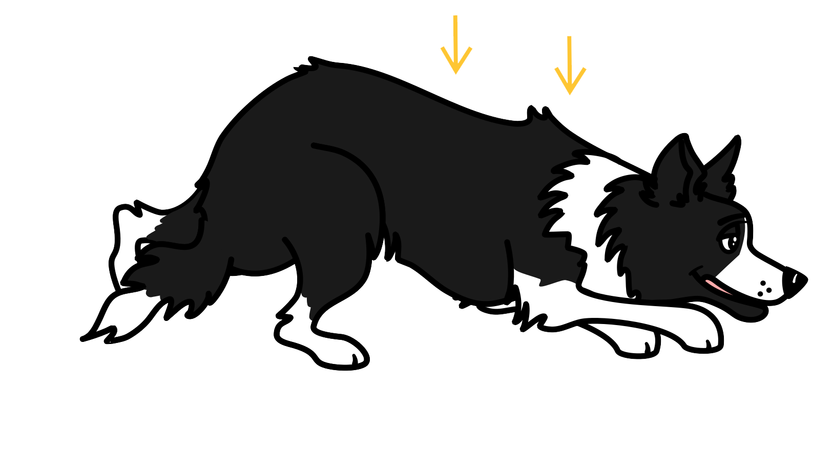 Predatory motor pattern stalk