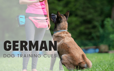 German Words For Dog Training (Schutzhund)