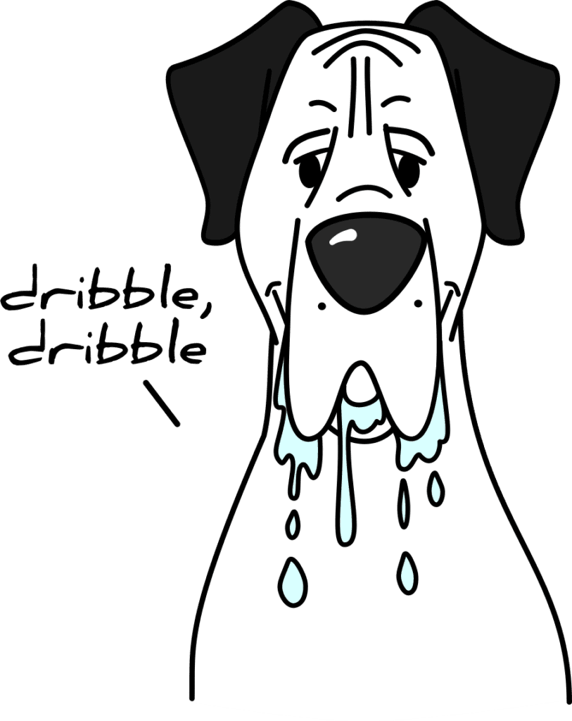 NOV DOG DROOLING