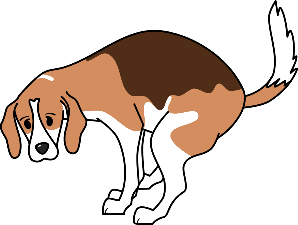 NOV DOG POOPING