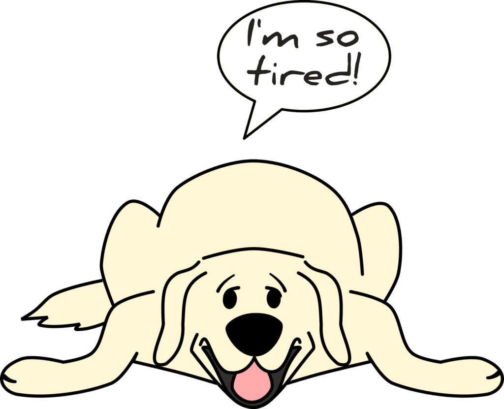 NOV DOG TIRED
