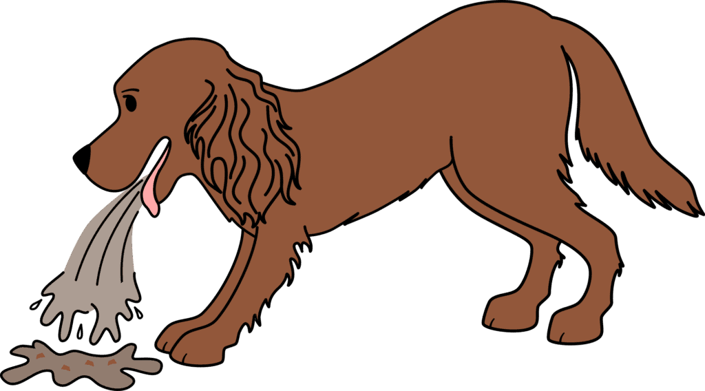 NOV DOG VOMITING
