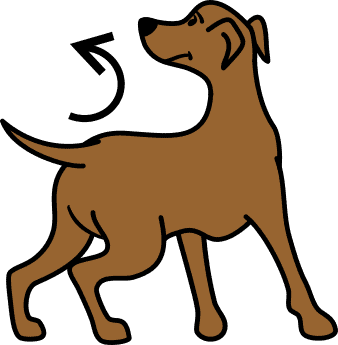 greyhound type dog Moving away