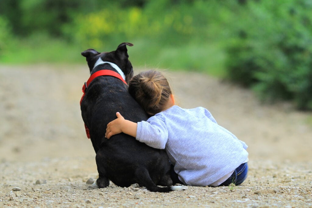 canine ladder of aggression