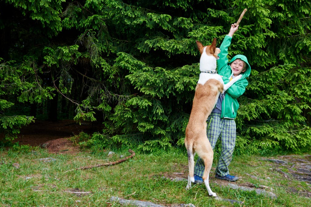 puppy jumping up 3