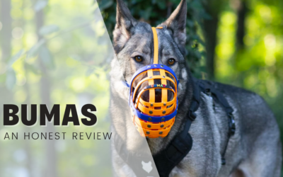 BUMAS Biothane Muzzle – An Honest Review