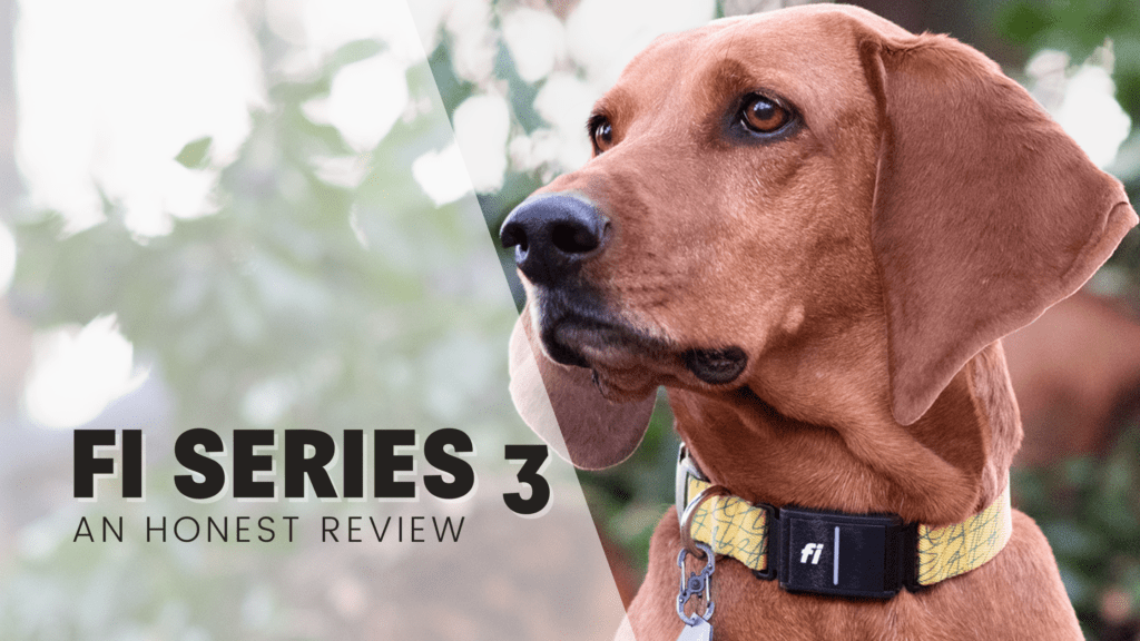 Fi Series 3 Review