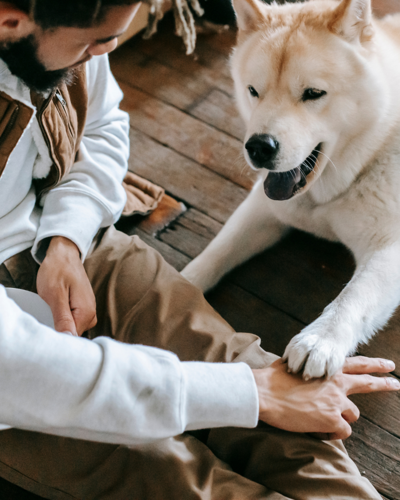 Clicker Training vs marker training dogs 4