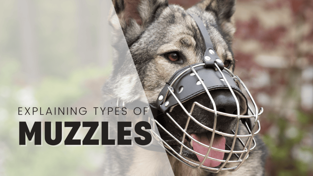 Blog Headers Q1 2023 (14)