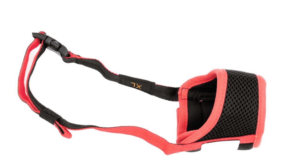 Emergency dog muzzle 1 Background Removed