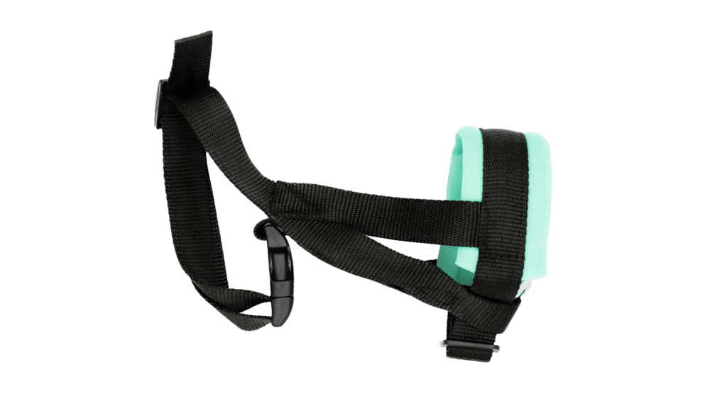 Headcollar Background Removed