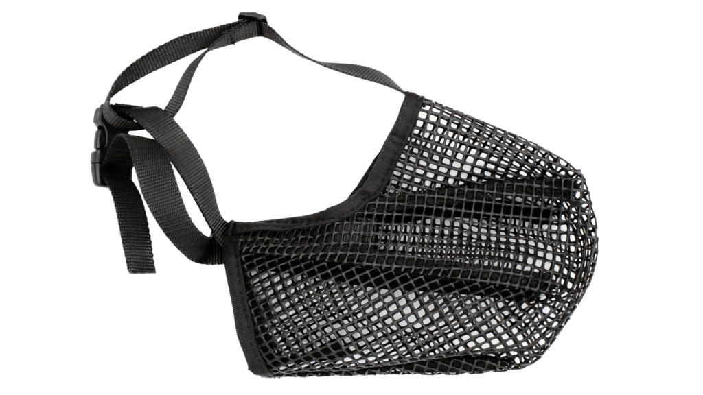 Mesh Muzzle Background Removed