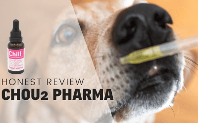 Chou2 Pharma’s Chill Oil Review: Effective Cannabinoid Treatment for Dogs