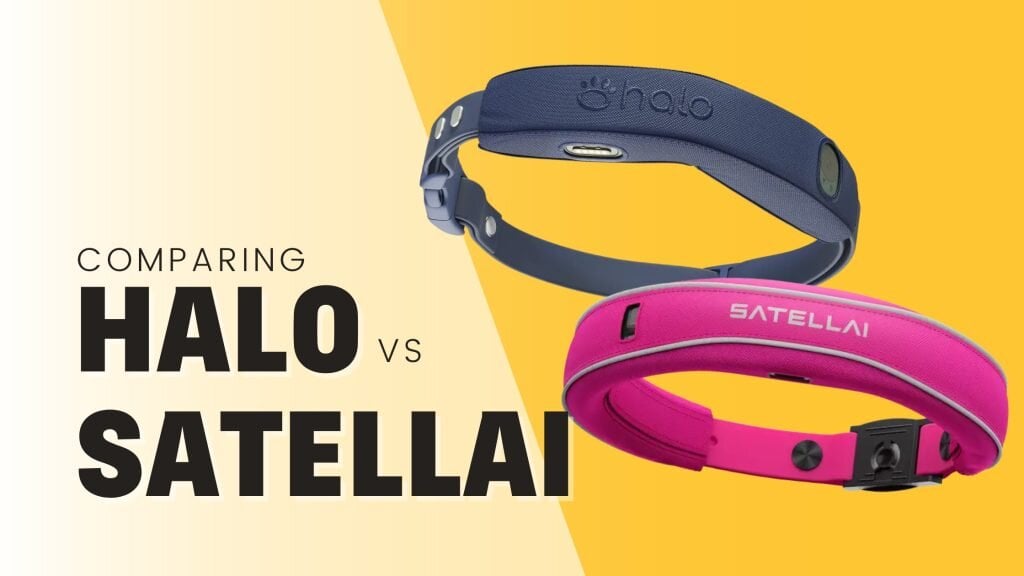 Halo vs Satellai