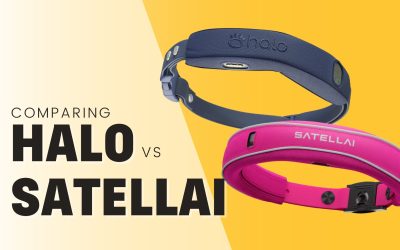 SATELLAI vs Halo GPS Dog Collar Review: Which GPS Fence is Actually Worth It?